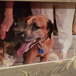 Meet your Posher, Denise